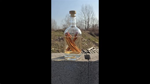 Exploring Kafe Zale: A Local Favorite