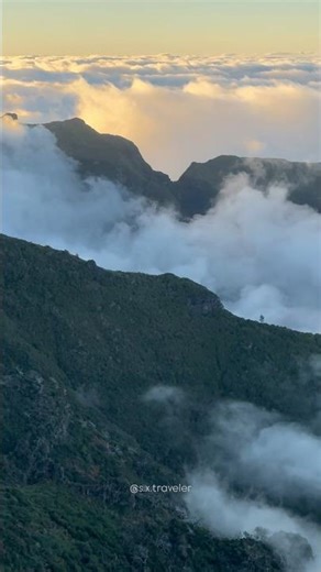 Sometimes the mountains hand you tiny, unexpected gifts