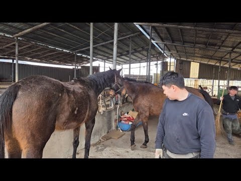 L26-40화 No Script. Real Field Documentary