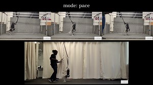 OGMP：Oracle引导的多模式策略，实现灵活多变的机器人控制