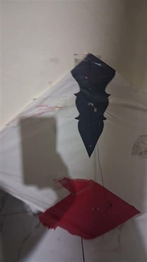 mme and my cousins kites