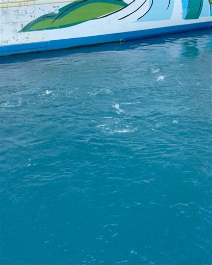 28 reactions | Michael Dean on Reels | Facebook