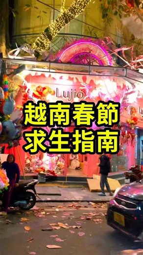 Vietnam Lunar New Year Survival Guide