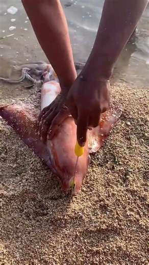 River Monster Finally Caught! 🐟 Incredible Fishing Adventure | Giant Fish Catch #fishing