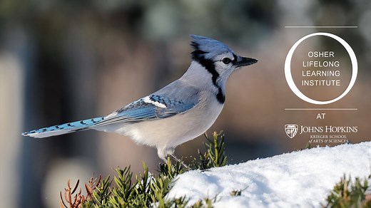 Osher Lifelong Learning Institute & Community