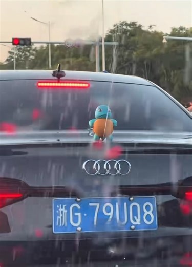 Turtle pees on my car window🤭😂#viral