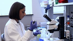 Author Spotlight: RNAi Inheritance and ChIP in C. elegans