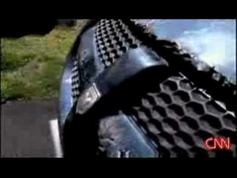 RARE NEW Lizard man sighting USA!!! Carolina Swamp