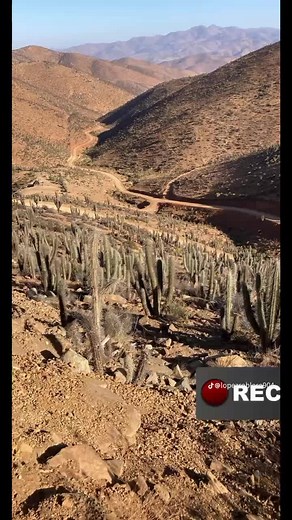 Bacilio Andrés Gaspar on TikTok