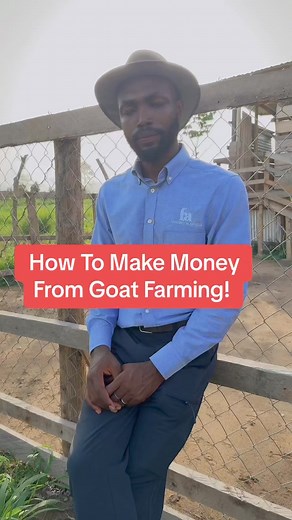 22K views · 548 reactions | Let me help you start your goat farm the right way! #farminginafrica #semanhyiafarms #livestock #nigeria #startingafarm | Farming In Africa | Facebook