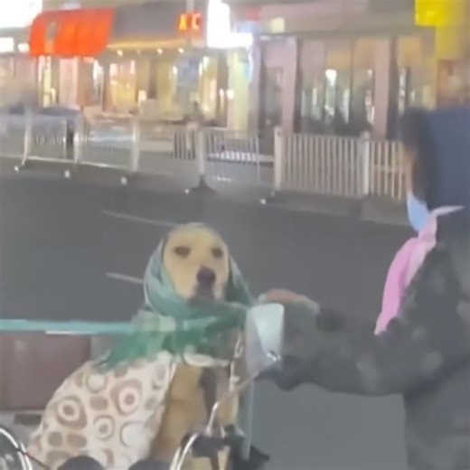 Những người chủ có tâm ! #ColorTour | Color Tour - Du Lịch Thiện Nguyện