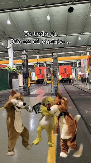 😂🤣 #Trabajo #Meme #MemeCut #noesmiproblema