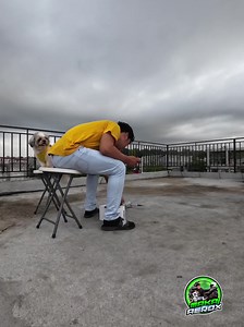 6.6K views · 98 reactions | practicing HAND LAUNCH and HAND TAKE OFF | MAKA AEROX | Facebook