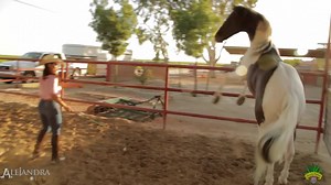 443K views · 9.6K reactions | Linda tarde a todos!! Aqui echandole ganas a la chamba.. | Alejandra Rojas | Facebook