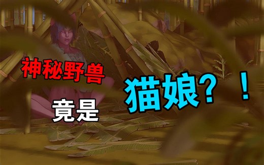 【Tame it!】荒岛求生记 第二集——投喂猫娘，暴雨来袭