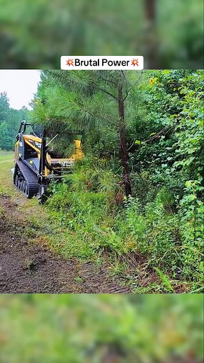 Powerful ASV RT-120 Mulching Action for Overgrown Ditches
