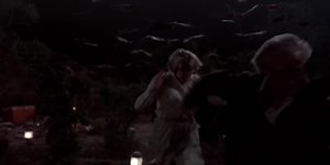 美国灾难恐怖片，吸血蝙蝠大举入侵...