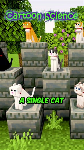 Steve Doesn’t Like Minecraft Cats
