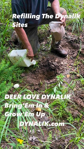 1M views · 5.7K reactions | Deer Love Dynalik and you only need to...
