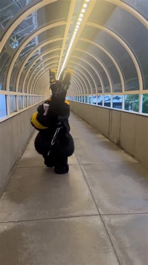 #fursuit #fursuiter #furry #protogen #fursuiting