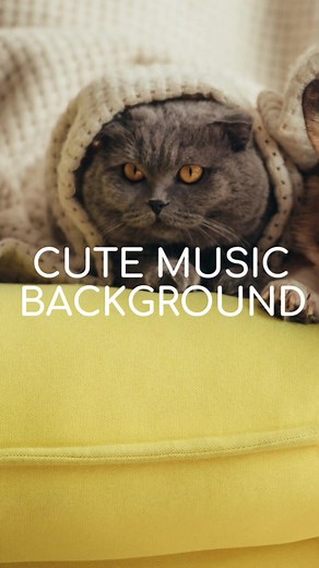 Use Cute Music Background for Your Videos