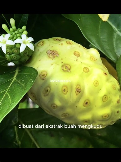 buruan cobain sekarang juga #fyppp #semuaorang