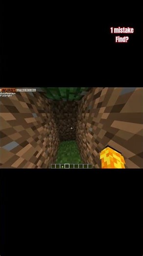 Minecraft Myth Test 😱 | Cat Fell From Sky But Survived?! 🐱 #minecraft #shortsfeed