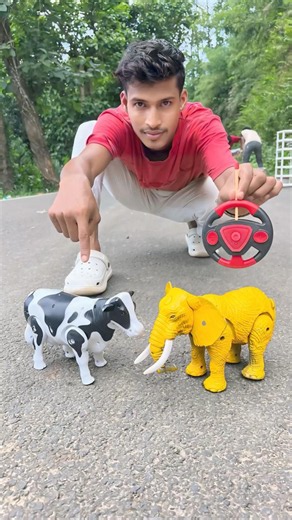 Rc Remote Control 2ta Elephant Vs Cow Unboxing 🥹