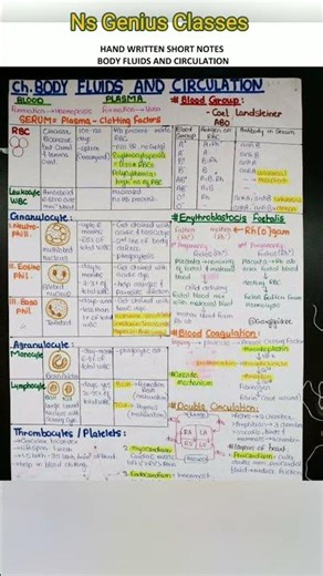 body fluid and circulation short notes | neet short notes | biology short notes | class 11th biology