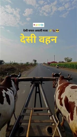 Road Par Bail Gadi 🐂 Desi Style Travel | Village Life India #shorts