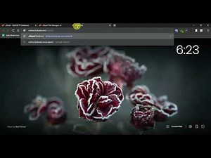 sales erp server installation