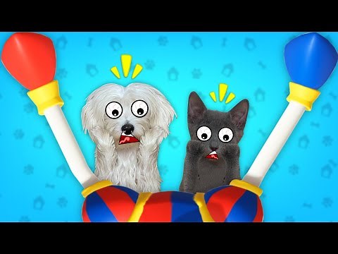 Pregnant Pomni gives birth to her baby in the amazing digital cirque!! 🤡🍼