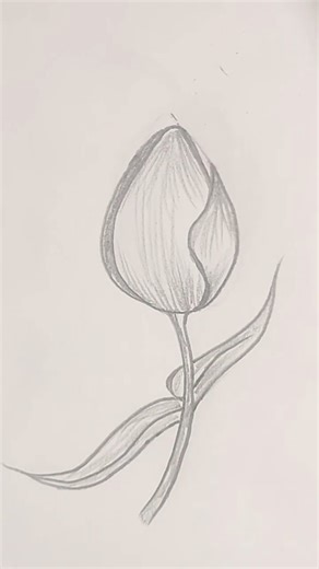 “Beautiful Flower Sketch | Easy Pencil Drawing Tutorial #shorts”