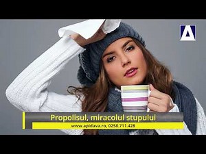 Propolisul, miracolul stupului. Ce este si la ce e bun propolisul. Beneficii pentru sanatate.