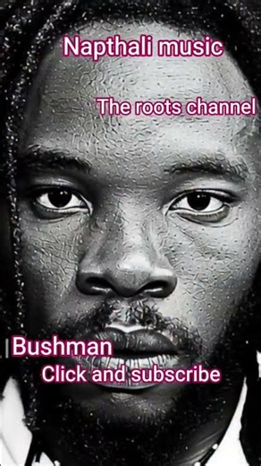 Bushman #reggae #reggaemusic #rootsreggae #planetareggae