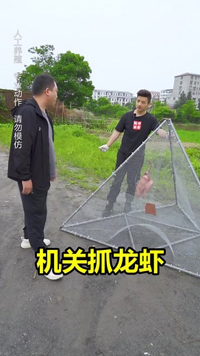 Catching Crayfish: Techniques and Tips for Beginners