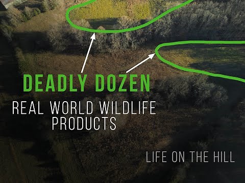 Deadly Dozen - RWWP Food Plot Seed & Update on 2021 Hunting Season