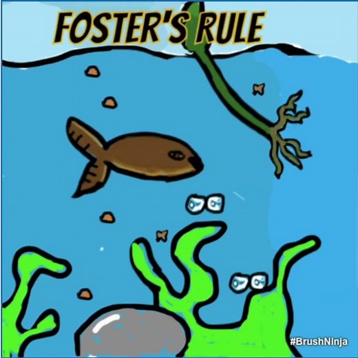 AP Biology Review: Ecological Evolution From Macromolecules to Ecosystems