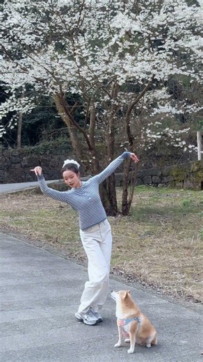 Spring to Snow: The Life Cycle of Nature's Beauty
