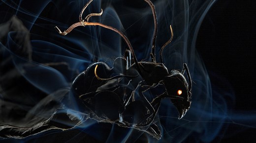 How wasps, worms, virus, and fungi create hyper-specialized zombies