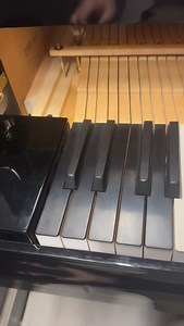 LOW C on a Bosendorfer Imperial. #bösendorfer #pianoforte #pianoman #pianoplayer #pianomusic #pianosolo #piano #pianolessons #pianolove #pianos #pianogram #pianokeys #pianoteacher #pianolover #musicianlife #musicianslife #musiciansofinstagram #pianotuner #pianotuning #grandpiano #bass | A 440 Piano Service