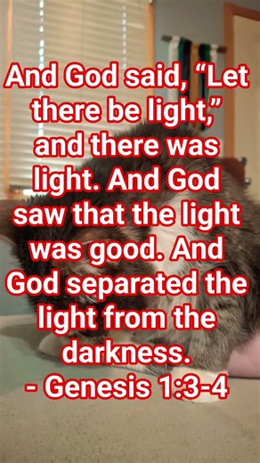 God created the universe