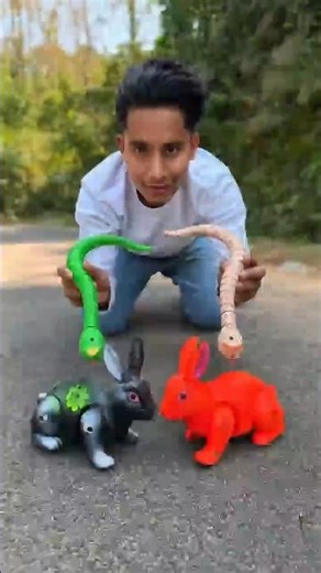 2 ta rv snake vs remoat control Duita Rabbit unboxing
