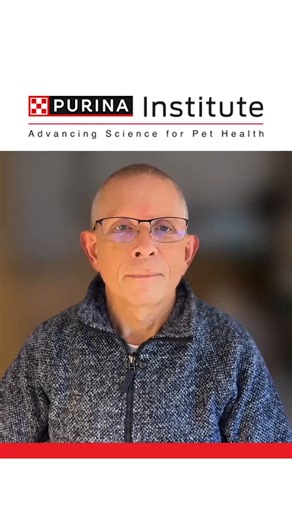 Food aversion in pets can be complex 🍽️🐶🐱 In this video, Andy Sparkes, BVetMed, PhD, Dipl ECVIM, MANZCVS, MRCVS, highlights key takeaways from the final Purina Institute Collaborative Care webinar of 2025, featuring Dr. Julie Churchill and Dr. Sandra Lyn. The webinar explores why food aversion develops, the difference between conditioned food aversion and taste avoidance learning, and how targeted medical and environmental strategies can support better outcomes. Watch the full webinar here 👉