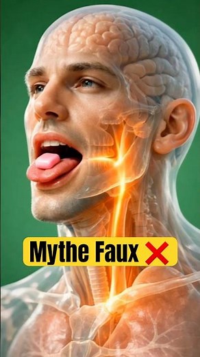 Swallowing chewing gum: Here's what really happens! 😳