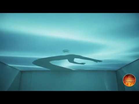 IBRIDI ALIENI TRA NOI! La Storia Shock di Raechel: Occhi da Gatto e Programma Segreto USA