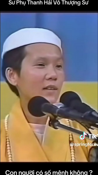 Spring forever trên TikTok