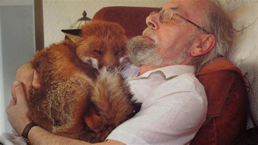 Animals show us love is truly the answer to everything