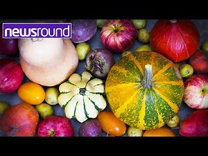 Harvest Festival: What is it? And are you doing anything to celebrate it?| Newsround