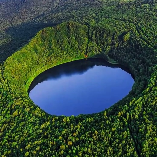 stunning travel & tours ltd on Instagram: "Welcome to Rwanda’s Volcanoes National Park, one of Africa’s most iconic and protected natural treasures. Located in the northern part of Rwanda, this park is home to the endangered mountain gorillas, stunning volcanic landscapes, and rich cultural heritage. Visitors from around the world come here for a rare and unforgettable gorilla trekking experience guided by professionals in a safe and eco-friendly environment. Whether you are an adventurer, natur